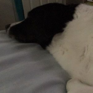 Meet your Posher, Lori